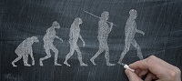 Visita virtual sobre l'evolució humana