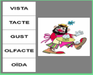 Sàlix i els sentits